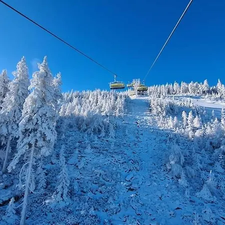 Appartement Apart - Czarna Gora & Spa Narty, Rowery, Wyciagi, Snieznik Stronie Śląskie
