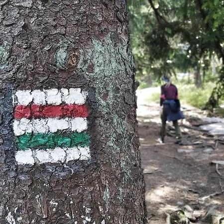 Apart - Czarna Gora & Spa Narty, Rowery, Wyciagi, Snieznik *