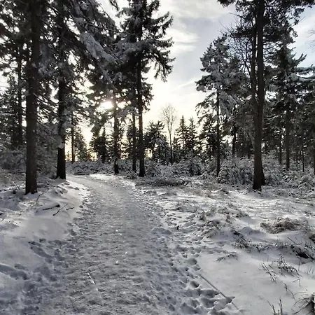 Apart - Czarna Gora & Spa Narty, Rowery, Wyciagi, Snieznik Appartement