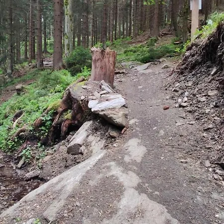 Apart - Czarna Gora & Spa Narty, Rowery, Wyciagi, Snieznik *