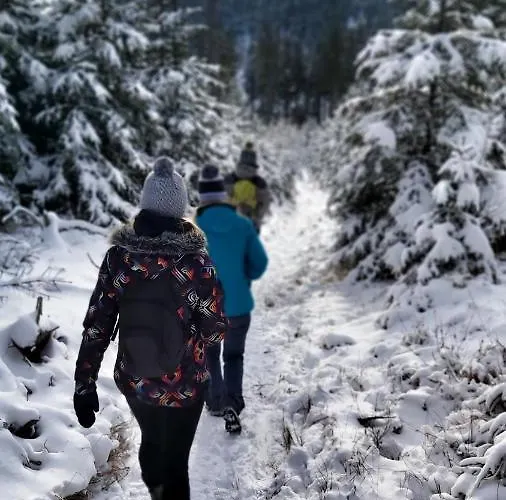 Apart - Czarna Gora & Spa Narty, Rowery, Wyciagi, Snieznik Apartmán Stronie Śląskie