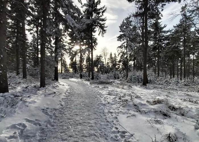 Apart - Czarna Gora & Spa Narty, Rowery, Wyciagi, Snieznik Apartmán