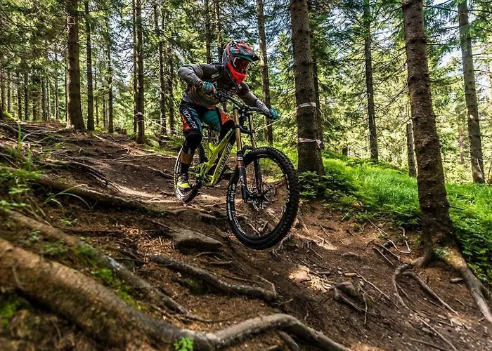 Apartmán Apart - Czarna Gora & Spa Narty, Rowery, Wyciagi, Snieznik Stronie Śląskie